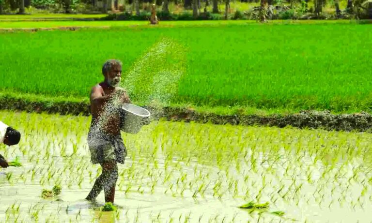 రైతులకు ఊరట కలిగించే పథకాన్ని ప్రకటించిన రాష్ట్ర ప్రభుత్వం, నూతన రీతిలో అమలు చేయనుంది.