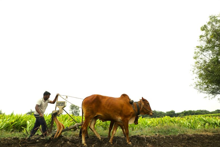 రైతులకు మరింత సహకారం అందిస్తూ ప్రభుత్వం కొత్త విధానాలు ప్రవేశపెట్టి సహాయాన్ని పెంచుతోంది.