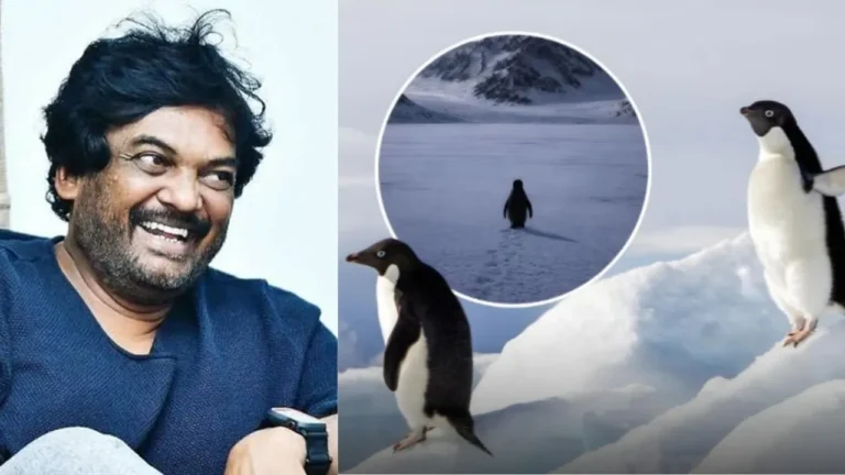 ఒక్క పెంగ్విన్ కథ సోషల్ మీడియాలో.