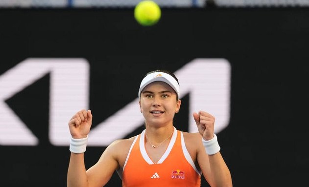 ఐవా జోవిక్ నోవాక్ దృక్కోవిచ్ సలహా.