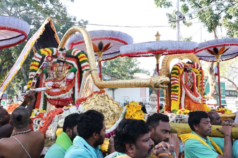 మోహినీ అవతారంలో కల్యాణ వేంకటేశ్వరుని దివ్య దర్శనం .